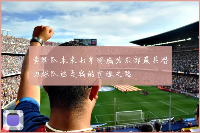 黄蜂队未来七年将成为东部最具潜力球队这是我的首选之路